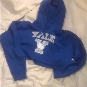 ❄️Flash Sale Yale cropped Sweatshirt